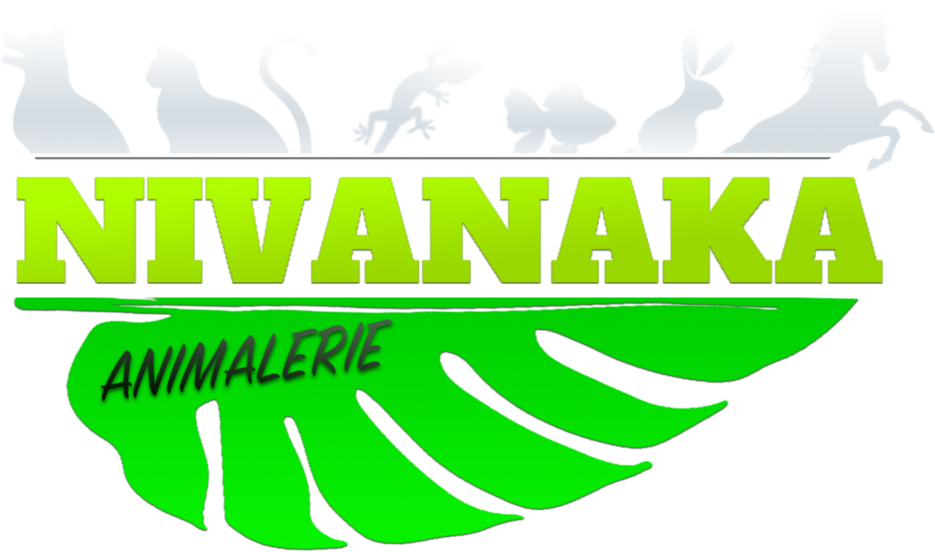 Logo Boutique Nivanaka